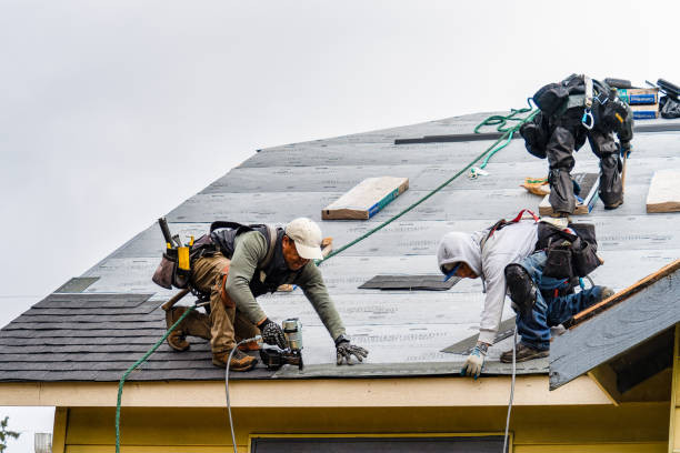 Professional Gutter Installation technician working in Carlsborg, WA